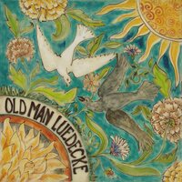 Old Man Luedecke - She Told Me Where to Go (Spring Green) vinyl cover