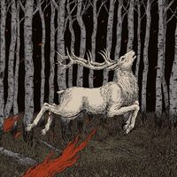 Olhava - Ladoga vinyl cover