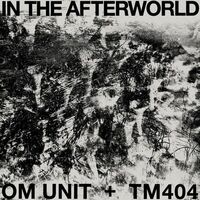 Om Unit / Tm404 - In The Afterworld vinyl cover