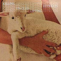 Omar Rodríguez-López - Killing Tingled Lifting Retreats vinyl cover