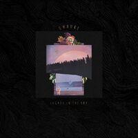 Omaure - Expedition 100 Vol. 13: Lights In The Sky vinyl cover