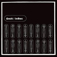 Omit - inSec vinyl cover