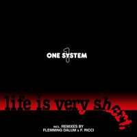 One System - Life Is Very Short vinyl cover
