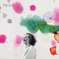 Only Wolf - These Days vinyl cover