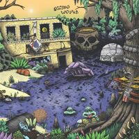 Oozing Wound - High Anxiety vinyl cover