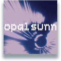 Opal Sunn - Elastic vinyl cover