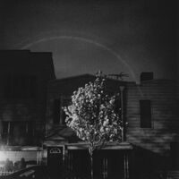 Open City - Hands In The Honey Jar vinyl cover