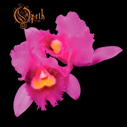 opeth orchid album artwork