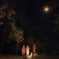 Ophelias - Spring Grove vinyl cover