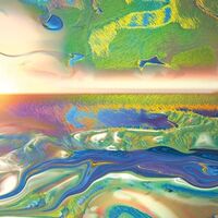 Ora Clementi - Sylva Sylvarum vinyl cover