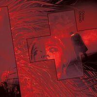 Orand - H+ vinyl cover