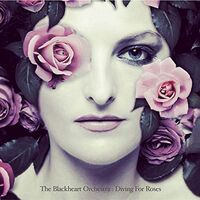Orchestra Blackheart - Diving For Roses vinyl cover