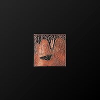 Orchestra (for Now) - Plan 75 vinyl cover