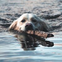 Orebolo - The Chateau vinyl cover