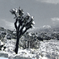 Oren / Jaeger,kassel / Rushford,james Ambarchi - Pale Calling vinyl cover