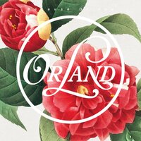 Orland - Because Of You vinyl cover