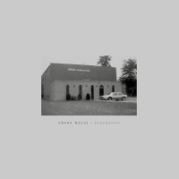 Orson Wells - Pneumatics vinyl cover