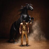 Orville Peck - Bronco vinyl cover