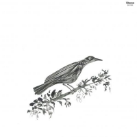 Os Peregrinos - Canto Peregrino vinyl cover