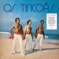 Os Tincoas - Os Tincoas vinyl cover