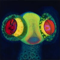 Osees - Sorcs 80 vinyl cover