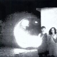 Other Lives - Tamer Animals vinyl cover