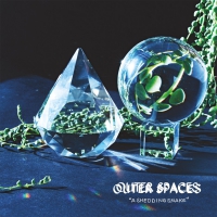 Outer Spaces - Shedding Snake vinyl cover