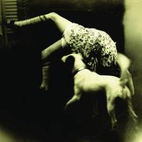 Over The Rhine - Good Dog Bad Dog: The Home Recordings vinyl cover