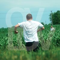 Ovlov - Am (Purple Inside Clear Galaxy) vinyl cover