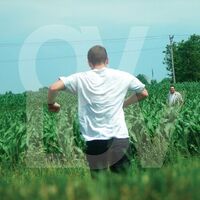 Ovlov - Am vinyl cover