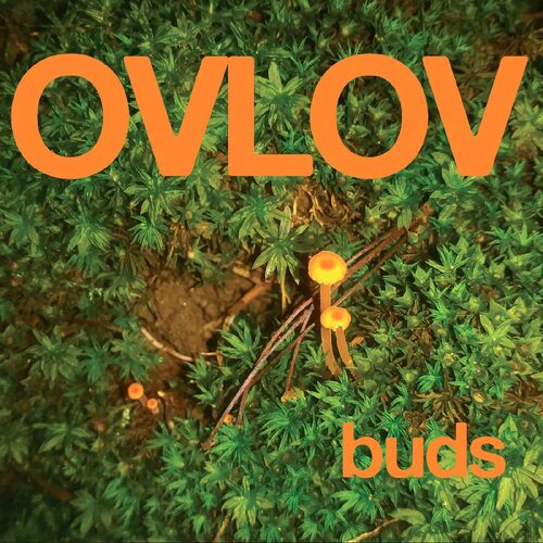 Ovlov - Buds (Green) vinyl cover