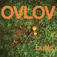 Ovlov - Buds vinyl cover