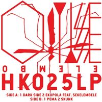 Oyisse - Ekopola vinyl cover