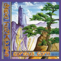 Ozric Tentacles - Curious Corn: Ed Wynne vinyl cover