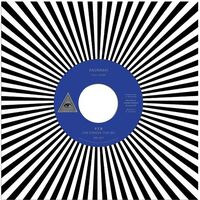 P.t.b (The Powers That Be) - Anunnaki vinyl cover