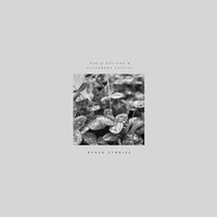 Pablo Bolivar & Alexandra Savvidi - Other Stories vinyl cover