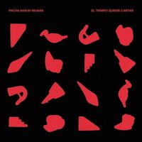 Pacha Wakay Munan - El Tiempo Quiere Cantar vinyl cover
