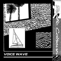 Pacific Coliseum & Teen Daze - Voice Wave vinyl cover