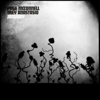 Page McConnell & Trey Anastasio - January vinyl cover