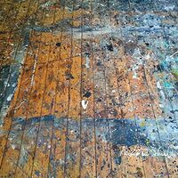 Painted Shield - Painted Shield vinyl cover