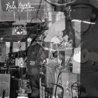 Pale Angels - Plastic Legacy vinyl cover