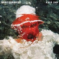 Pale Jay - Bewilderment vinyl cover