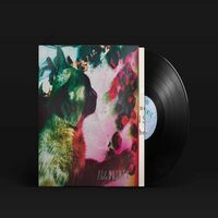 Pale Saints - The Comforts Of Madness 30Th Anniversary vinyl cover
