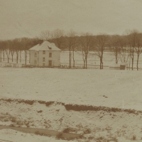 Palehorse - Looking Wet In Public vinyl cover