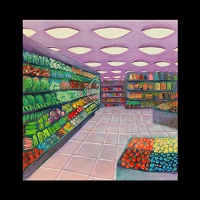 Palehound - A Place I'll Always Go vinyl cover