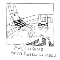 Palehound - Ymca Pool vinyl cover