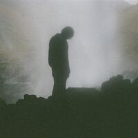 Palmistry - Afterlife vinyl cover