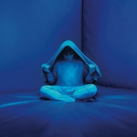 Palmistry - Pagan vinyl cover