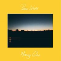 Palomo Wendel (Natureboy Flako) - Morning Glow vinyl cover