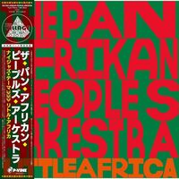 Pan Afrikan Peoples Arkestra - Nyjah's Theme / Little Africa vinyl cover